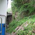 Thailand (239)